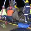 Technical Rescue Unit Image - Animal Rescue Animal Rescue ( Cow )